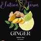 Elation Body Ginger Detox Tea
